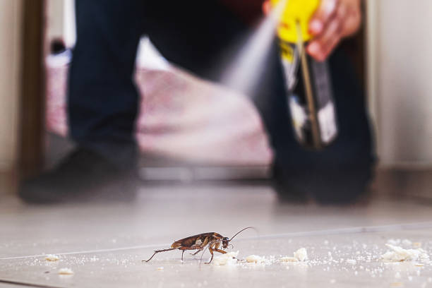 Best Pest Removal Services  in Gleneagle, CO